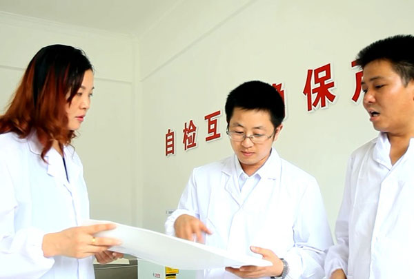 技術(shù)團隊正在討論